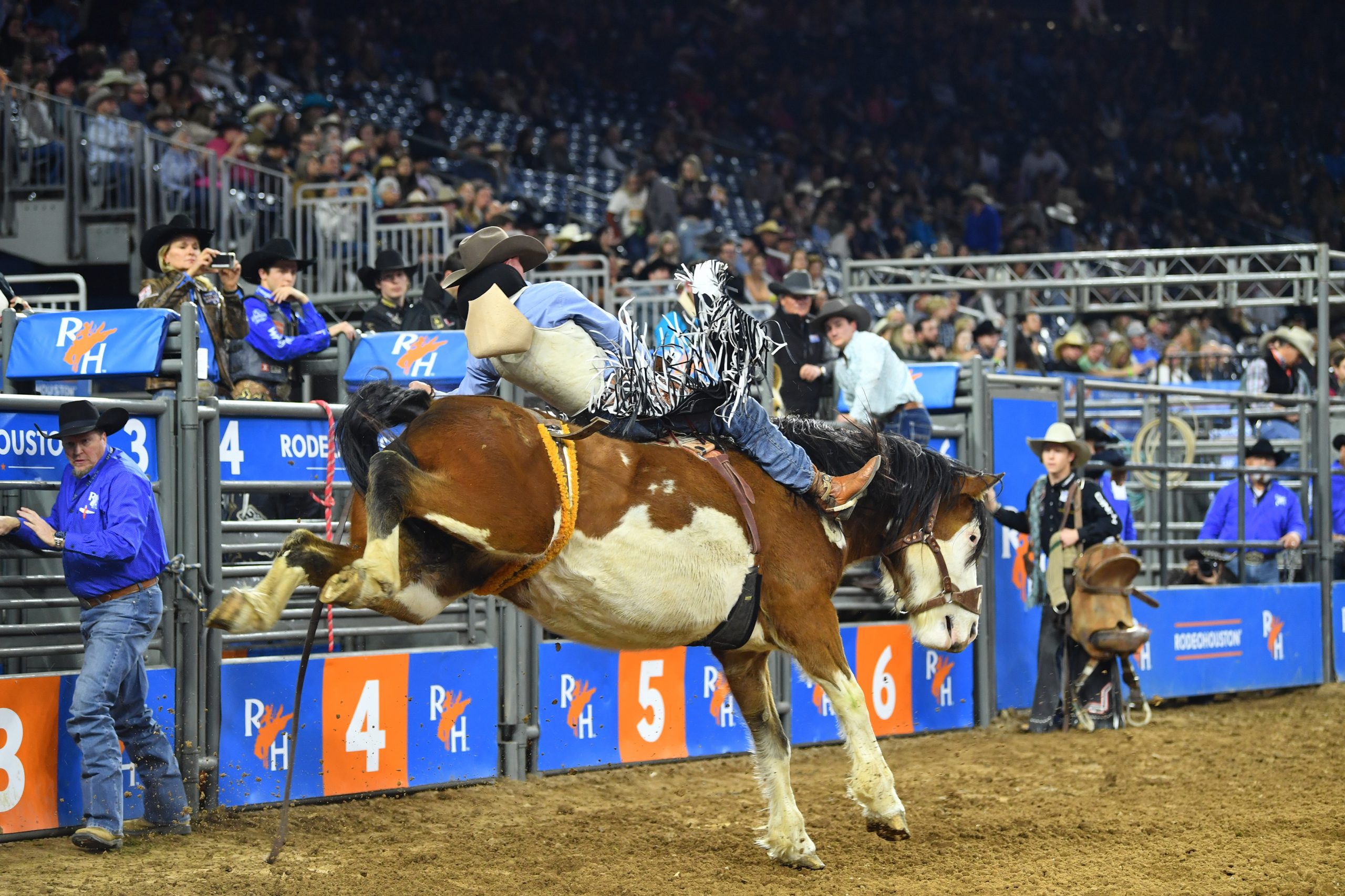 Telestreams Lightspeed Live Stream Shares the Houston Livestock Show and Rodeo Experience