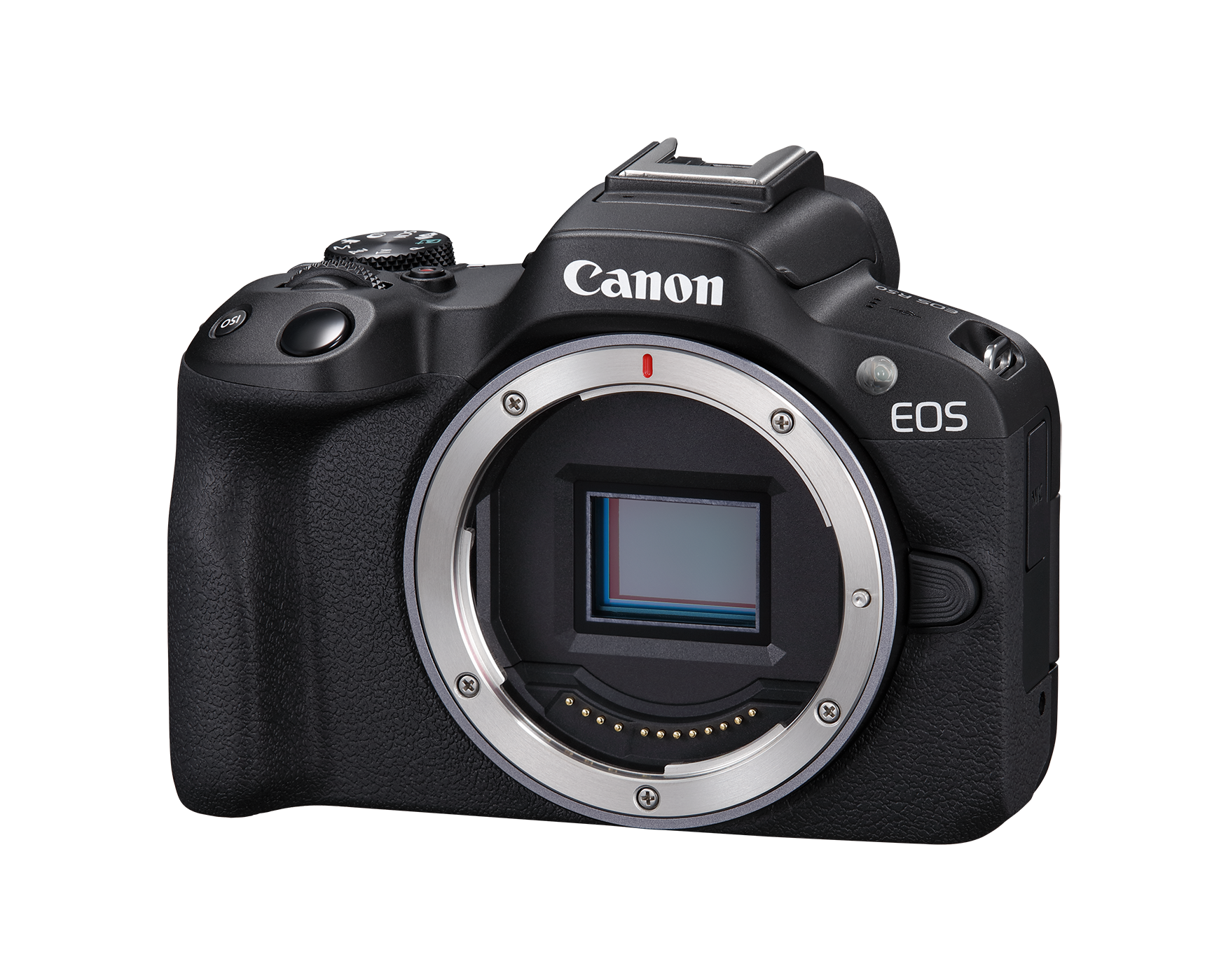 Canon adds a compact lightweight to EOS R mirrorless camera line